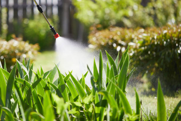 Tamper-Resistant Bait Stations for Rodents in Cherry Valley