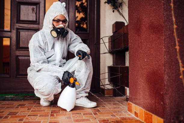 Attic and Crawl Space Rodent Treatment in Cherry Valley