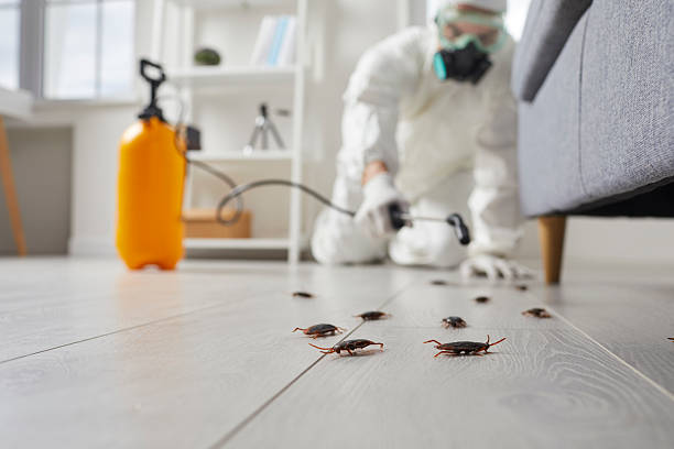 Commercial Rodent Management in Cherry Valley